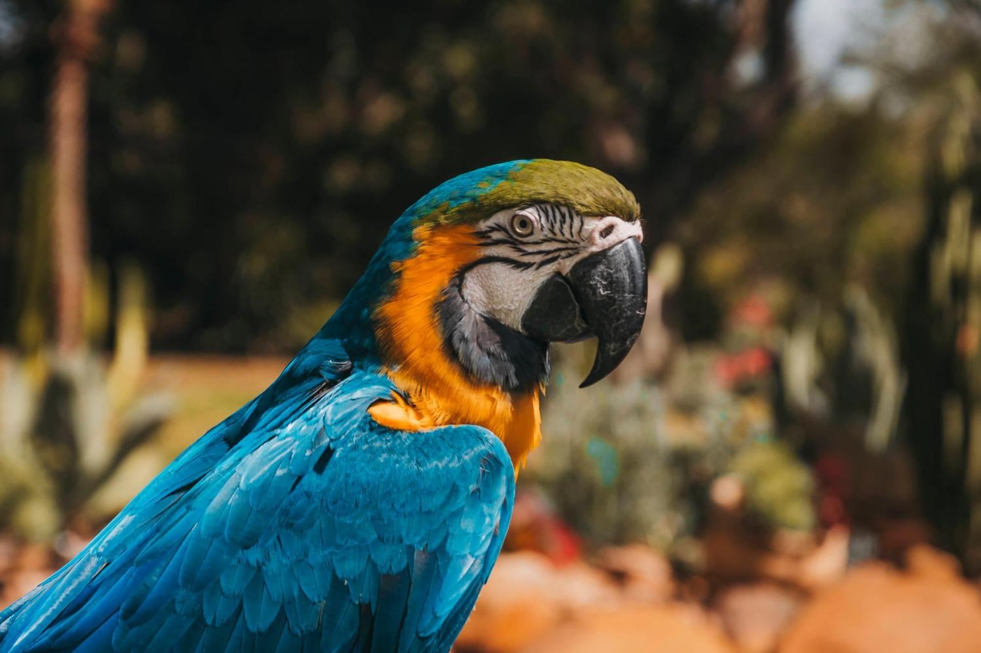 Гостевой дом Fazenda Bosque Belo Bagua Бойтува Экстерьер фото